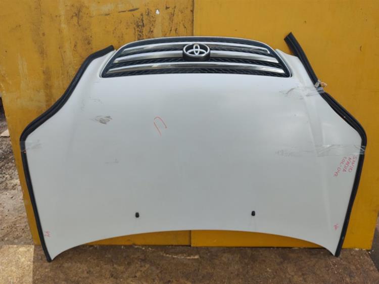 Капот Тойота Надия в Биробиджане 51218